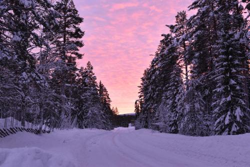 a snow covered road with trees and a pink sky at Horrmundsgården i Sälen in Sälen