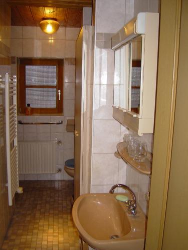 a bathroom with a sink and a toilet at Haus Obinger in Reit im Winkl