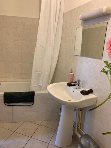Ванна кімната в Appartement de la République