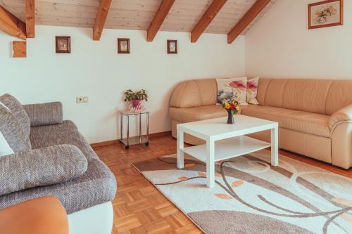 a living room with two couches and a table at Armonia Altach in Altach