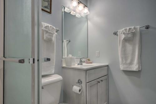 ein Badezimmer mit Toilette, Waschbecken und Spiegel in der Unterkunft Hike and Ski! Blue Heron Brodheadsville Cottage in Brodheadsville