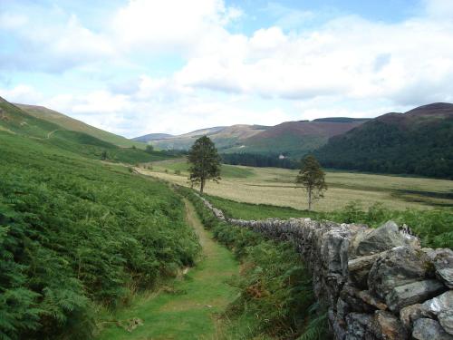 a stone wall in a field next to a road at Lough Dan House in Oldbridge
