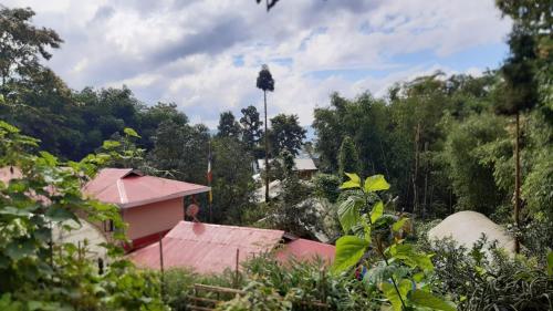a pink house in the middle of a forest at Tenam Garden homestay in Kalimpong