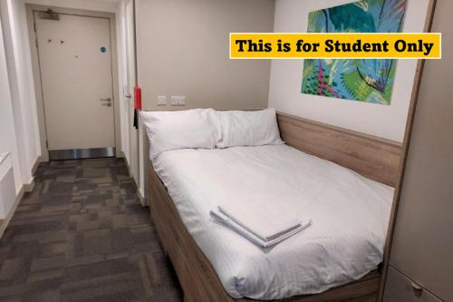 Bright Studios in READING for STUDENTS Only - SK – Photos 2