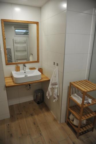 uma casa de banho com um lavatório e um espelho em Apartmán Luční em Telč