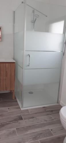 a bathroom with a shower and a toilet at Petite maison plain-pied, proche des plages in Loctudy