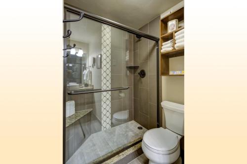a bathroom with a toilet and a shower at Bear Claw 508 - True Ski-in Ski-out Access, Slope Views & Winter Shuttle! in Steamboat Springs