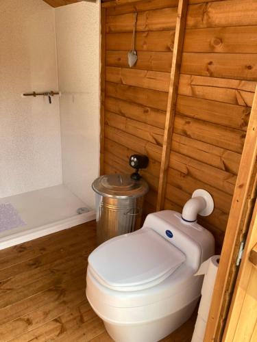 a bathroom with a toilet in a wooden wall at Dyfi Dens Machynlleth in Esgair-geiliog