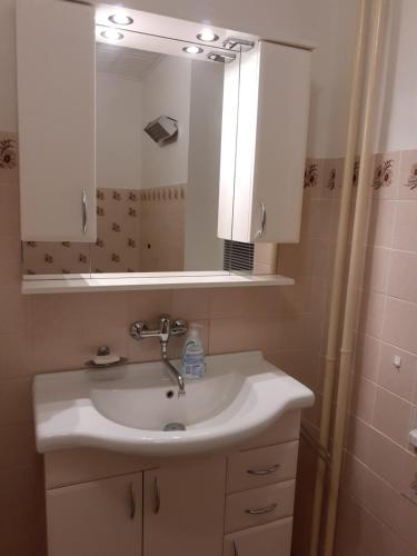 a bathroom with a white sink and a mirror at Apartmán se zahradou kousek od Ještědu in Liberec