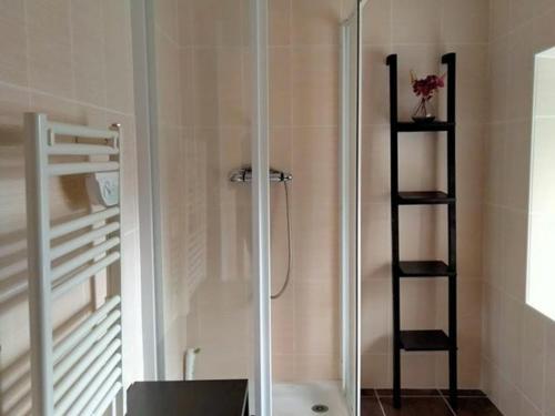 um chuveiro com uma porta de vidro na casa de banho em Gîte Saint-Étienne-Lardeyrol, 3 pièces, 4 personnes - FR-1-582-332 em Saint-Étienne-Lardeyrol
