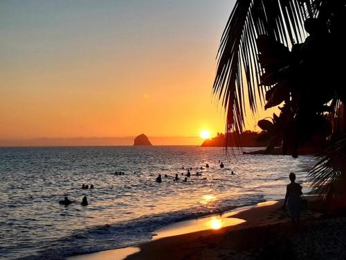 a group of people swimming in the ocean at sunset at SAINTE-LUCE 2 T1 HIBISCUS et COLIBRIS in Sainte-Luce