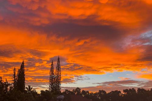 an orange sunset with trees in the foreground at Paniolo #202B in Princeville