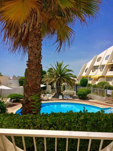 un palmier et une piscine dans un complexe dans l'établissement Le soupir des palmiers. Idéal couple, piscine, mer, à La Grande Motte