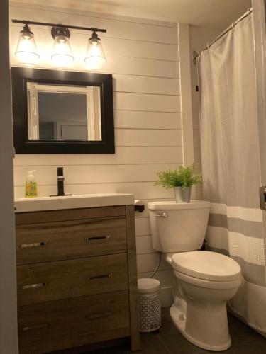 a bathroom with a toilet and a sink and a mirror at Blue Mountain Creekside Studio at North Creek Resort in Blue Mountains