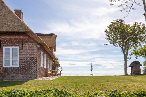 a brick house with a grassy yard next to a tree at Reethüs Rosenkranz in Aventoft