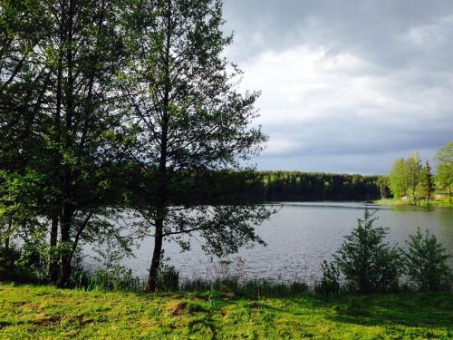 a view of a lake with trees in the foreground at El Arm El in Druskininkai