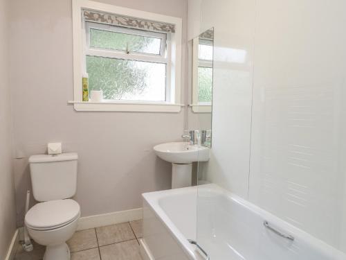 a white bathroom with a toilet and a sink at Holly Cottage in Glencoe