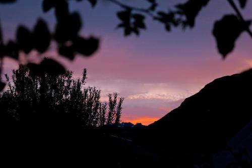 a sunset is seen through the silhouette of a tree at Hospedaje Mi Rincón El Chaltén in El Chalten