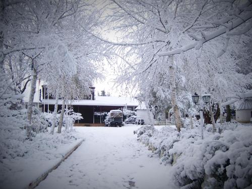 a yard covered in snow with trees and a building at Kings Lodge Hotel in Hogsback