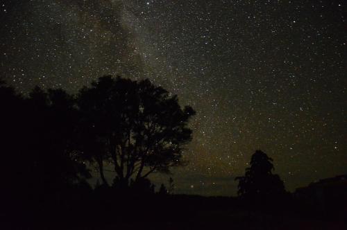 a starry night with a tree and a star filled sky at Ao Marama Retreat in Collingwood