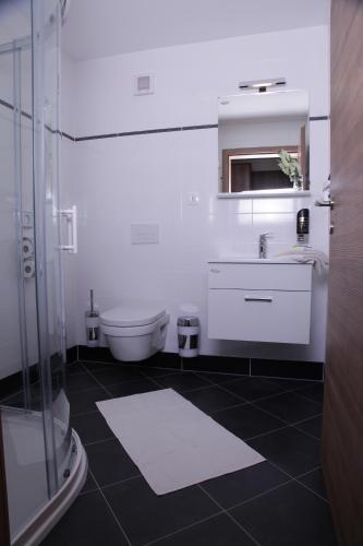 a bathroom with a sink and a toilet and a mirror at Primus Hotel & Apartments in Vienna