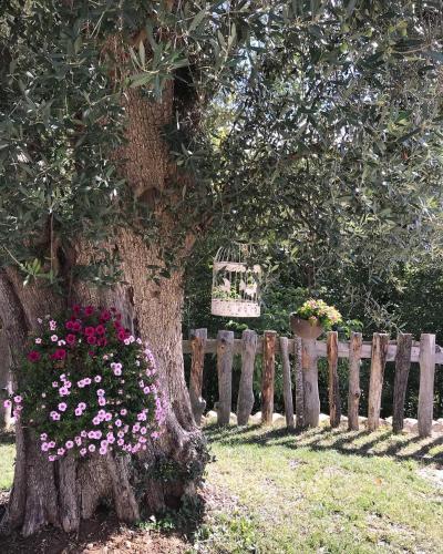 a tree with flowers in front of a fence at Agriturismo Le Faeta in Arpino