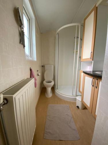 een badkamer met een douche, een toilet en een wastafel bij Chalet Togo in Wageningen