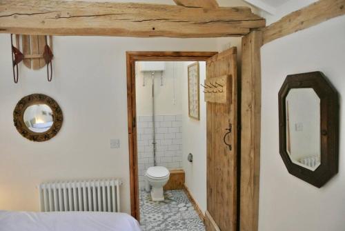 ein Schlafzimmer mit einem Bad mit einem WC und einem Spiegel in der Unterkunft Nest Holiday Hideaway Dove Barn Amazing location! in Church Stretton