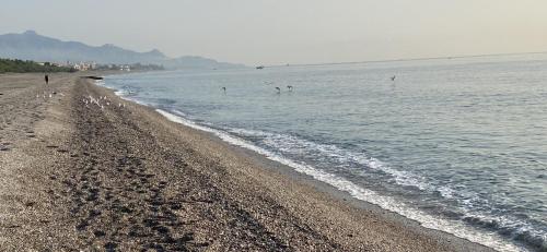 Φυσικό τοπίο κοντά σε αυτή η παραθεριστική κατοικία