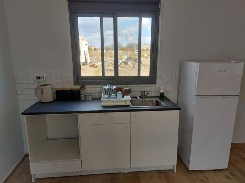 uma pequena cozinha com um lavatório e uma janela em בזלת וגיר em Avnei Eitan
