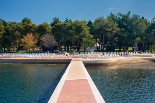 a row of birds sitting on a walkway in a park at Apartments Katoro Plava Laguna in Umag