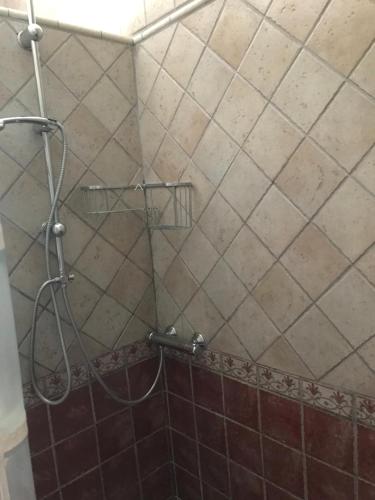La salle de bains est pourvue d'une douche et de carrelage brun. dans l'établissement Casa Olivo, à Almuñécar