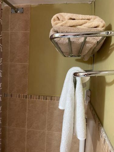 a bathroom with a shower with towels on a rack at Cityscape at Chelsea Manor / New Kingston Studio! in Kingston