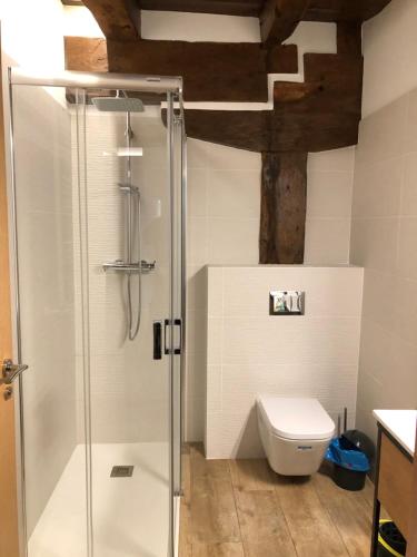 a bathroom with a glass shower with a toilet at Urruti in Zilbeti