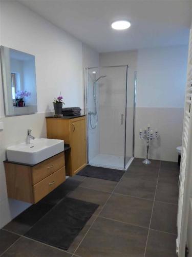 a bathroom with a shower and a sink and a toilet at Ferienwohnung Sonnenplatzl in Michelsneukirchen