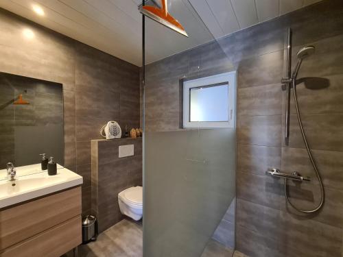 a bathroom with a shower and a toilet and a sink at Entre l'eau in Durbuy
