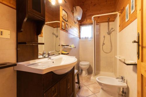 a bathroom with a sink and a shower and a toilet at Parco Del Sangro in Castel di Sangro