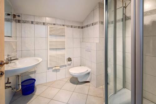 a bathroom with a toilet and a sink and a shower at Haus Lowe Appartement 2 Stock Nr 4 in Filzmoos