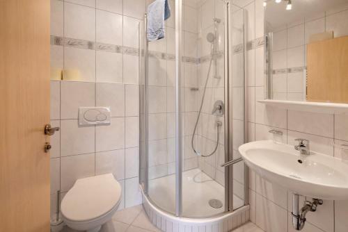 a bathroom with a shower and a toilet and a sink at Haus Lowe Appartement 1 Stock Nr 3 in Filzmoos