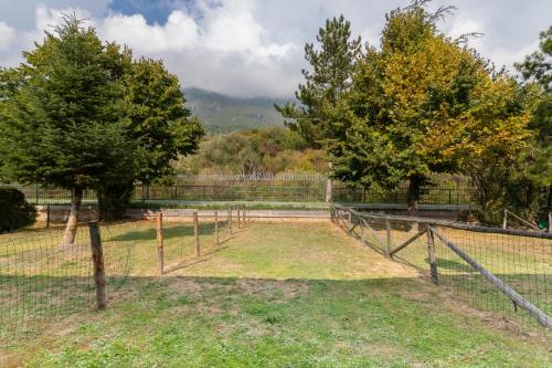 a fence with trees in the middle of a field at Parco Del Sangro in Castel di Sangro
