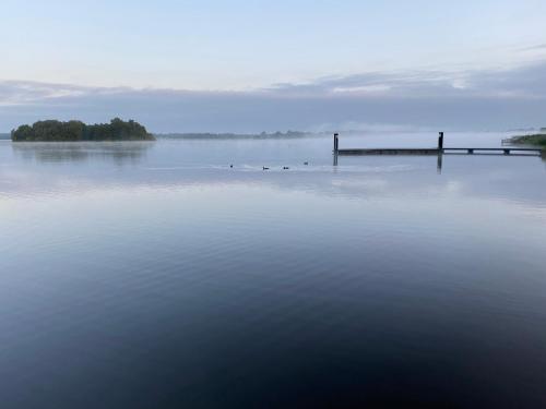 a dock on a lake with ducks in the water at B&B Hof ter Lemferdinge in Paterswolde