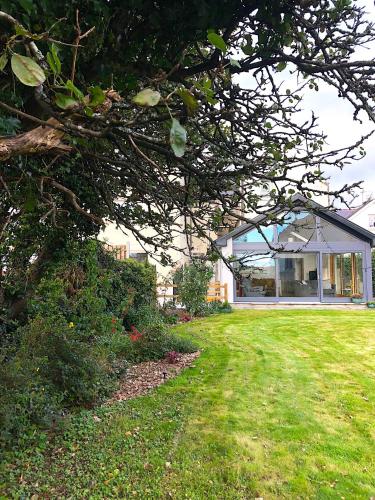 a house with a tree in front of a yard at Dingle Garden Townhouse in Dingle