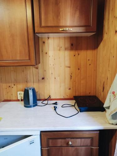 a kitchen with a counter top with a toaster on it at Sadyba Vyshenka in Tatariv