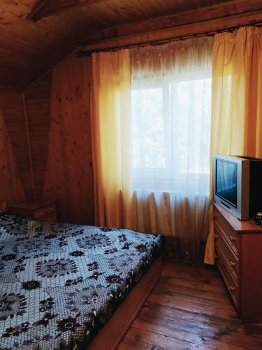 a bedroom with a bed and a tv and a window at Sadyba Vyshenka in Tatariv