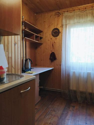 a kitchen with a counter and a window in a room at Sadyba Vyshenka in Tatariv