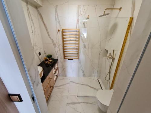 a bathroom with a shower and a toilet at Apartamenty Hallera 4 in Jarocin