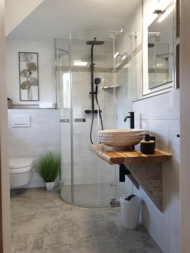 a bathroom with a shower and a sink and a toilet at Scholz & Scholz GbR Zimmervermietung in Hoyerswerda