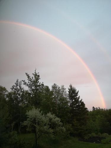a rainbow in the sky with trees in a field at Au Cachalot Caché le gîte hôtel in Tadoussac