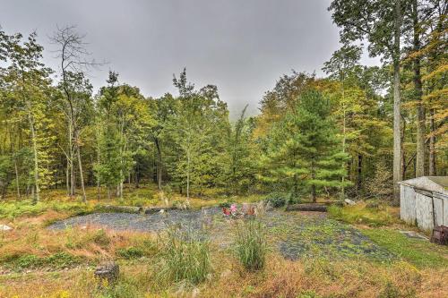 a garden in the middle of a forest at Port Jervis Home about 8 Acres with Mountain View! in Port Jervis