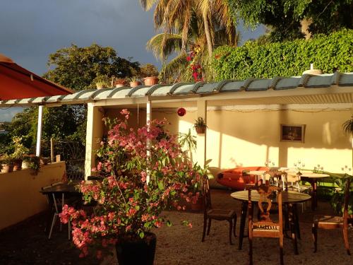 a patio with a table and chairs and flowers at Le cactus guesthouse in Terre Rouge
